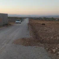 فروش زمین باغی|فروش دفتر صنعتی، کشاورزی، تجاری|بروجن, |دیوار