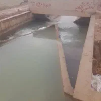 زمین کشاورزی ایجاره ۱۳ هکتار