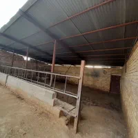 گاوداری واقع در روستای کوشک|فروش زمین و ملک کلنگی|مرودشت, کوشک|دیوار
