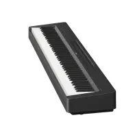 پیانو پرتابل p145