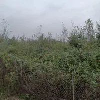 فروش زمین باغی
