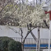 ویلا-خسرواباد-جاجرود-جاده-سد-لتیان