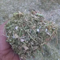 فروش کاه لوبیا|عمده‌فروشی|نظرآباد, نظرآباد|دیوار