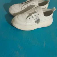 کفش|کیف، کفش، کمربند|مشهد, خرمشهر|دیوار