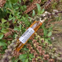 عطر ادوپرفیوم خودرو و بدن، ماندگاری و پخش بی نظیر|آرایشی، بهداشتی، درمانی|کرج, شهرک یاس جنوبی|دیوار