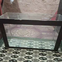 اکفاریوم  در حد نو