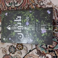 کتاب رمان ناتوان و به امید دل بستم و..