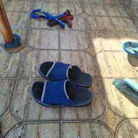 صندل زندان باف|کیف، کفش، کمربند|فسا, |دیوار