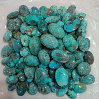 اصیل نیشابور