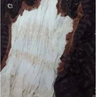 لوازم منزل فرش گاز لباسشوی|فرش|رشت, ولکس|دیوار