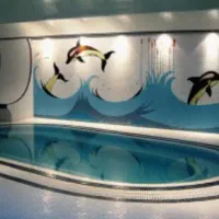 انجام کلیه کارها کاشی کاری استخر سونا|خدمات پیشه و مهارت|تویسرکان, |دیوار