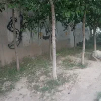 زمین-360-متر-مدارک-کامل-گازار