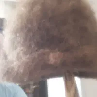 کلاه پشم بره