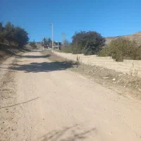 واگذاری ۲تا  سگ نژاددار