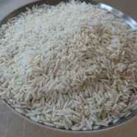 فروش بدون واسطه برنج هاشمی - لنگرود -گیلان