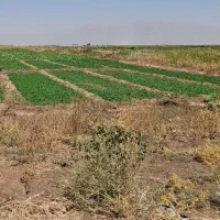 زمین آبی بر اتوبان سراب نیلوفر