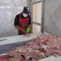 خردی مرغ و ماهی کارکرده