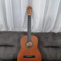 گیتار مبتدی|گیتار، بیس، امپلیفایر|کرمانشاه, |دیوار