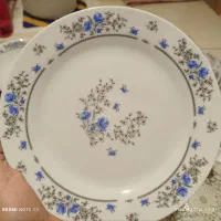 ظرف چینی در حدنو.