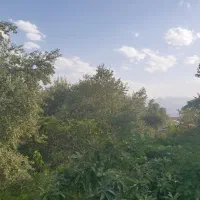 فروش-ملک