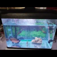 فروش آکواریوم k580