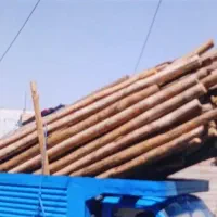 قطع و هرس انواع چوب ،خریدار انواع چوب