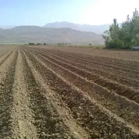 اجاره زمین کشاورزی