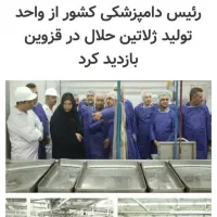 ژلاتین حلال ژاو ،تنها ژلاتین گاوی حلال تولید ایران|خوردنی و آشامیدنی|تهران, دارآباد|دیوار