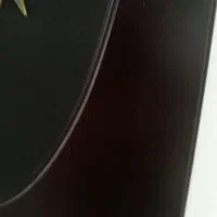 تابلوی قدیمی خریداری شده از چین|کلکسیون اشیاء عتیقه|ساری, |دیوار