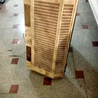 هود