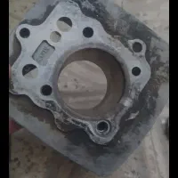 سیندر هندا پرنده عروس کفتر فنچ مرغ عشق فنچ|قطعات یدکی و لوازم جانبی|مشهد, پورسینا|دیوار