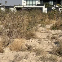 زمین باغی با اقساط بلند مدت شهریارکد۳۱۷|فروش زمین و ملک کلنگی|شهریار, رنگرز|دیوار