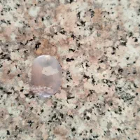 بوق ۱۸ صدا|کلکسیون اشیاء عتیقه|میبد, |دیوار