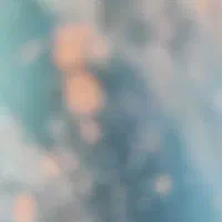 شناسنامه گم کردم نایسر