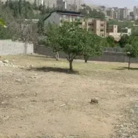 زمین-باغ-ویلا