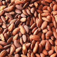 گل افتاب شورکاری مغزیجات|خوردنی و آشامیدنی|اصفهان, بهارانچی|دیوار