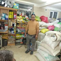 فروش انواع پرندگان|پرنده|قم, خاکفرج|دیوار