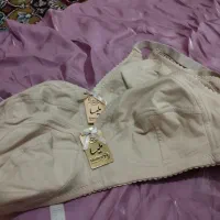 سوتین|لباس|یزد, |دیوار