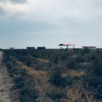 فروش باغ با موقعیت عالی