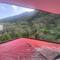 ویلا جنگلی نزدیک تلکابین رامسر|فروش خانه و ویلا|چابکسر, |دیوار