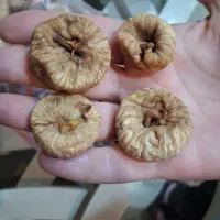 انجیر خشک و رب گوجه طبیعی|خوردنی و آشامیدنی|رشت, شهریاران|دیوار