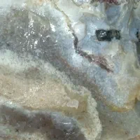 دوتا سنگ فروشی