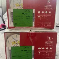 سر یس چینی زرین ایران|ظروف سرو و پذیرایی|خرمآباد (تنکابن), |دیوار