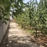 فروش باغ در آغچه بدی