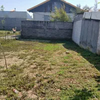 زمین فروشی در رشت|فروش زمین و ملک کلنگی|رشت, احمد گوراب|دیوار