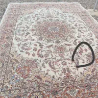 فرش ۷۰۰ شونه ۱۲ متری کرم|فرش|اصفهان, قهجاورستان|دیوار