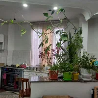 دوخوابه-طبقه-دوم