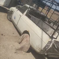 بوغلمون محلی|حیوانات مزرعه|شیبکوه (فارس), |دیوار