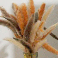 استخدام کارگر برای انبار با جای خواب