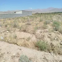 زمین ویلایی